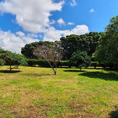 Pio XII - Alojamento Local Ponta Delgada  Ngoại thất bức ảnh